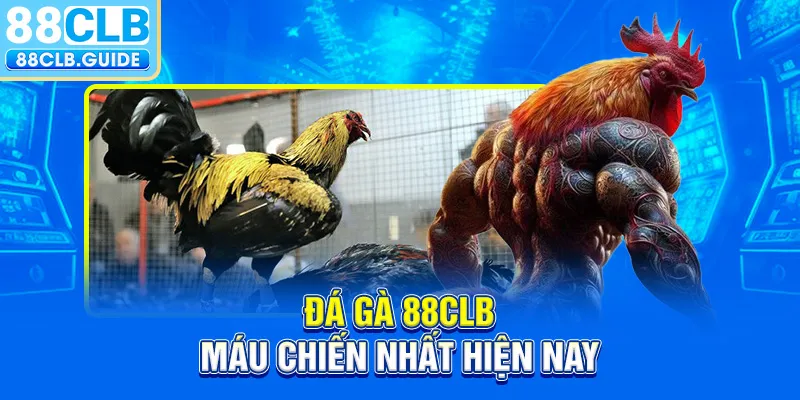 Đá gà 88CLB máu chiến nhất hiện nay